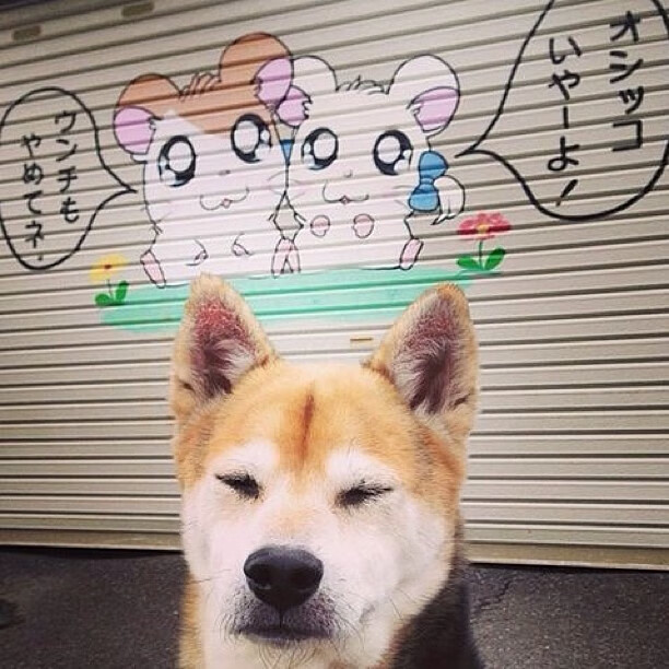 新秀之路：未来篮球之星的成长轨迹，未来篮球之星的说说