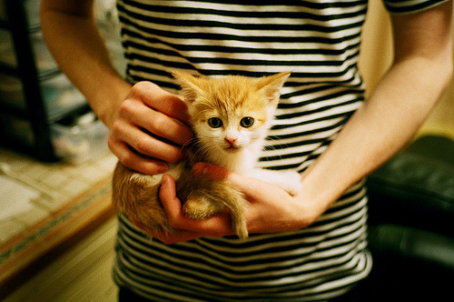 ayx爱游戏官网-_环湖骑行节：赏景途中的速度与激情_，环湖自行车赛