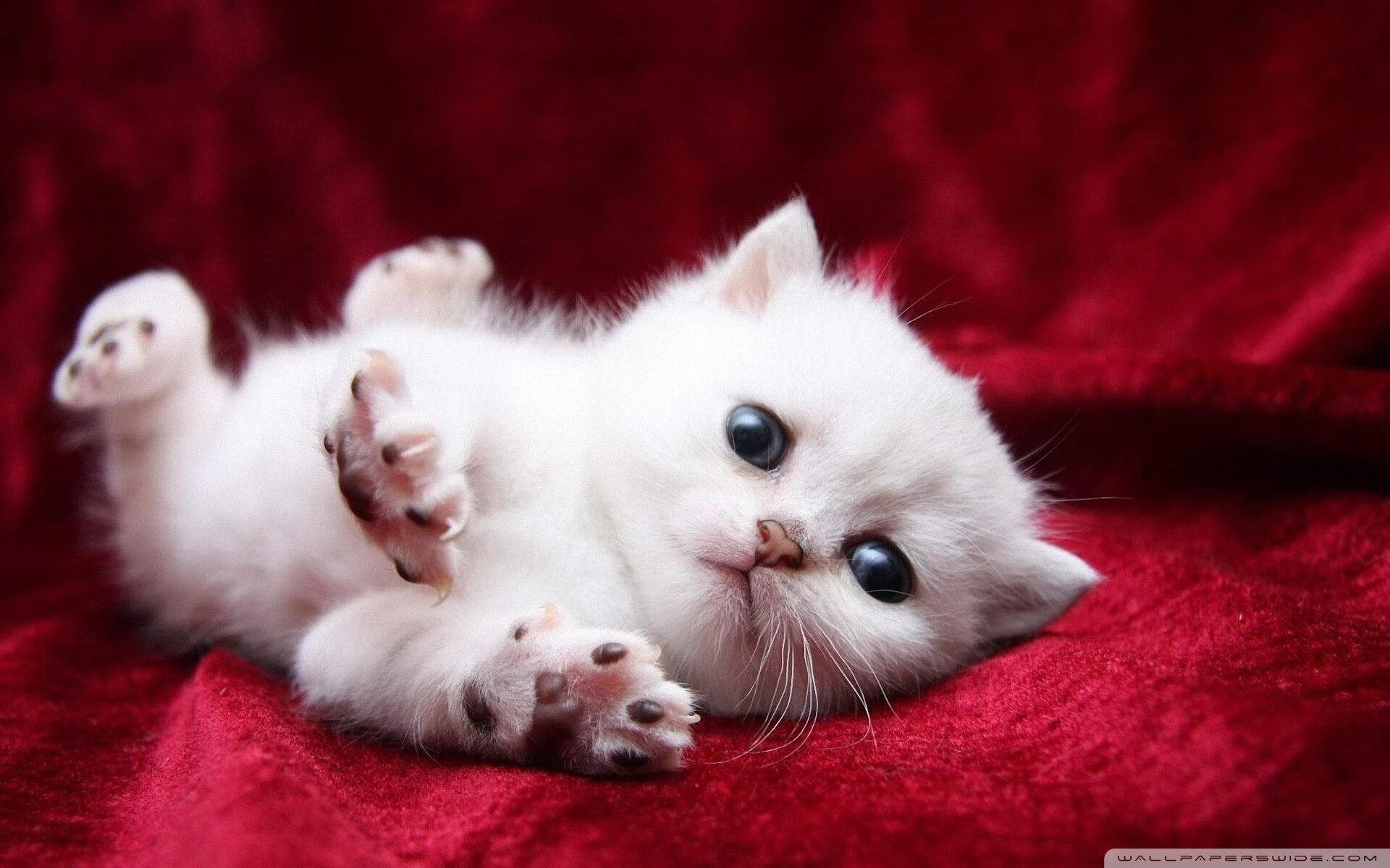 爱游戏官方网站-“VAR系统首次应用引发争议——高科技裁判能否实现真正的判罚公平？”