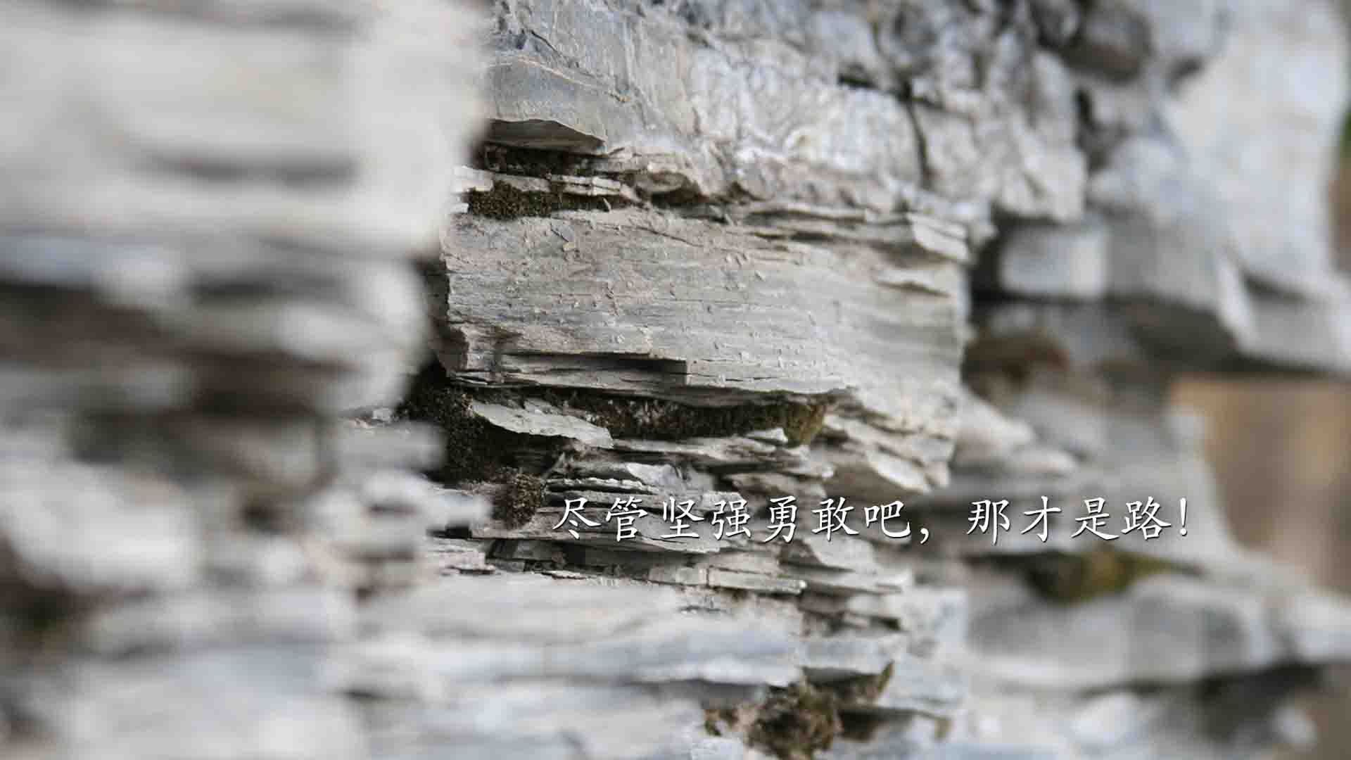 爱游戏内容中心-“中超联赛精彩对决不断，观赛热情持续高涨”，中超联赛现场