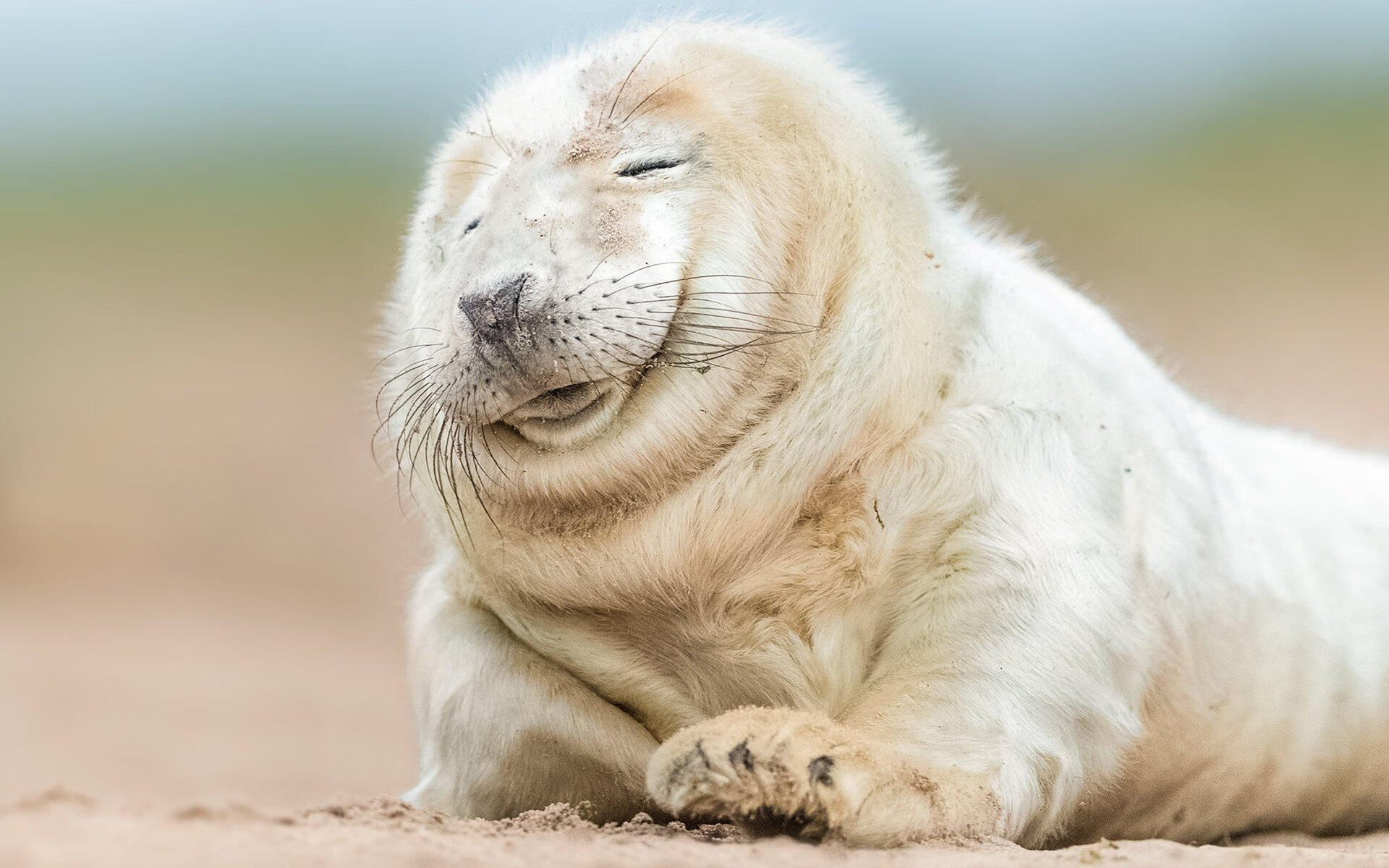 爱游戏体育在线赛事-史上最大“黑马荣耀”：从无名小将到巨星巅峰，最大的黑马